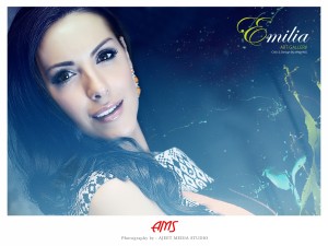 asian wedding photography and videography
